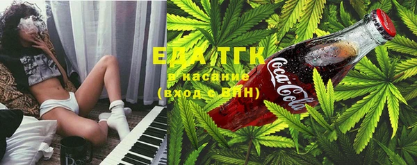 гашик Балахна