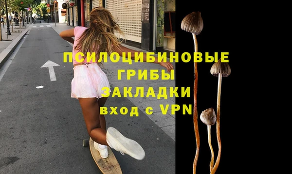 гашик Балахна